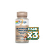 Pack 3x MUSHROOM COMPLETE 60 CÁPSULAS SOLARAY