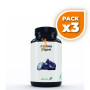 Pack 3x CARBON DIGEST 815 MG 60 PERLAS EBERS
