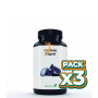 Pack 3x CARBON DIGEST 815 MG 60 PERLAS EBERS