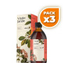 Pack 3x VITAFER JARABE 250 ML EBERS