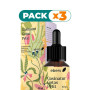 Pack 3x GASINATUR GOTAS PETIT 50 ML EBERS