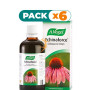 Pack 6x ECHINAFORCE 100Ml. BIOFORCE