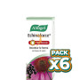 Pack 6x ECHINAFORCE HOT DRINK 100Ml. A. VOGEL (BIOFORCE)