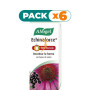 Pack 6x ECHINAFORCE HOT DRINK 100Ml. A. VOGEL (BIOFORCE)