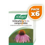 Pack 6x ECHINAFORCE KIDS 80 COMPRIMIDOS A. VOGEL (BIOFORCE)
