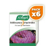 Pack 6x BOLDOCYNARA 60 COMPRIMIDOS A. VOGEL (BIOFORCE)