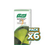 Pack 6x GINKGOFORCE 100Ml. A. VOGEL (BIOFORCE)