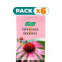 Pack 6x ECHINACEA BONBONS BOLSA 75Gr. A. VOGEL (BIOFORCE)