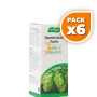 Pack 6x DORMEASAN FORTE 30 COMP.