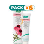 Pack 6x CREMA ECHINACEA 30GR A.VOGEL
