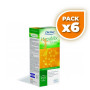 Pack 6x HEPAMIX 250Ml. DIETISA