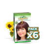 Pack 6x TINTE CAOBA 5.5 CORPORE SANO