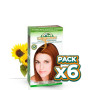 Pack 6x TINTE AVELLANA 6.43 CORPORE SANO