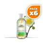 Pack 6x COLONIA DE FLORES 300Ml. CORPORE SANO