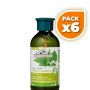 Pack 6x CHAMPÚ CABELLOS GRASOS ORTIGA Y HAMAMELIS 300ML CORPORE SANO