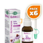 Pack 6x ECHINAID GOLA SPRAY 20Ml. TREPAT DIET - ESI