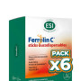 Pack 6x FERROLIN C 30 STICKS ESI