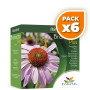 Pack 6x BRONOCHO PLUS 20 SOBRES CONATAL