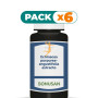 Pack 6x ECHINACEA PURPUREA-ANGUSTIFOLIA EXTRACTO 60 CÁPSULAS BONUSAN