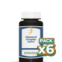 Pack 6x VITAMINA B COMPLEJO ACTIVO 60 CÁPSULAS VEGETALES BONUSAN
