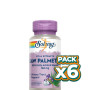 Pack 6x SAW PALMETTO 60 PERLAS SOLARAY