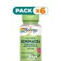 Pack 6x ECHINACEA 460Mg. 100 CÁPSULAS SOLARAY