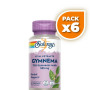 Pack 6x GYMNEMA 385Mg. 60 CÁPSULAS SOLARAY