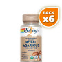 Pack 6x ROYAL AGARICUS 500Mg. 60 CÁPSULAS SOLARAY