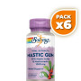 Pack 6x MASTIC GUM 500Mg. 45 CÁPSULAS SOLARAY