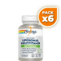 Pack 6x UNIVERSAL LIPOSOMAL MULTIVIT.60 VEGCAPS SOLARAY