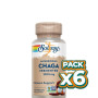 Pack 6x CHAGA FERMENTED 500 MG. - 60 VEGCAPS SOLARAY