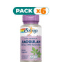 Pack 6x JIAOGULAN 410 MG- 60 VEGCAPS SOLARAY