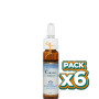 Pack 6x CERATO (Ceratostigma) 10Ml. FORZA VITALE
