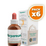 Pack 6x ARPAREUM 50Ml. FORZA VITALE