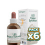 Pack 6x LES FAGUS SYLVATICA 50Ml. FORZA VITALE