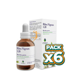 Pack 6x PSC RIBES NIGRUM 15Ml. FORZA VITALE