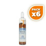 Pack 6x LARCH (Alerce) 10Ml. FORZA VITALE