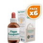 Pack 6x FAGUS COMPOSTO 50Ml. FORZA VITALE