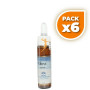 Pack 6x OLIVE (Olivo) 10Ml. FORZA VITALE