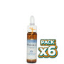 Pack 6x HORNBEAM (Hojarazo) 10Ml. FORZA VITALE