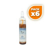 Pack 6x PINE (Pino) 10Ml. FORZA VITALE