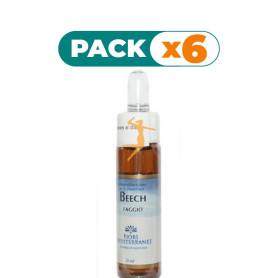 Pack 6x BEECH (Haya) 10Ml. FORZA VITALE