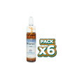 Pack 6x WALNUT (Nogal) 10Ml. FORZA VITALE