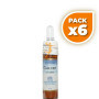 Pack 6x CHICORY (Achicoria) 10Ml. FORZA VITALE