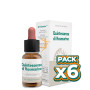 Pack 6x QUINTAESENCIA ROSMARINO 10Ml. FORZA VITALE