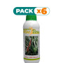 Pack 6x ALOE VERA JUGO 1Lt. ESPADIET