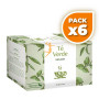 Pack 6x TÉ VERDE INFUSIÓN 20 SOBRES DIETMED