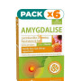 Pack 6x AMYGDALISE 20 COMPRIMIDOS MASTICABLES DIETMED