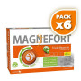 Pack 6x MAGNEFORT RAPID 30 AMPOLLAS DIETMED