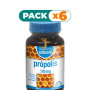 Pack 6x PRÓPOLIS 500MG 90 CÁPSULAS NATURMIL
